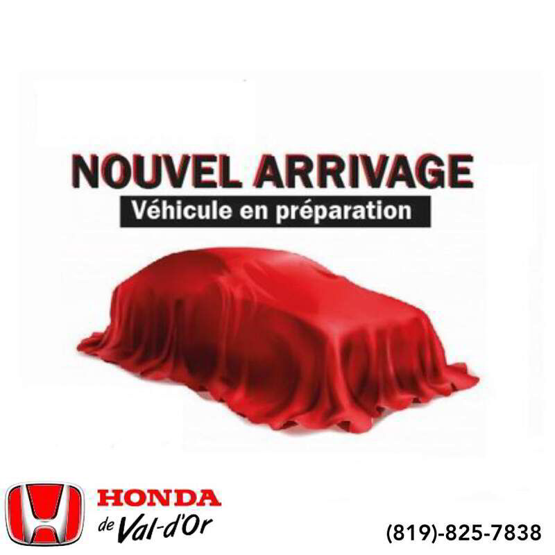 Dodge Grand Caravan Familiale 4 portes SE 2009 Beige Val-d'Or - photo #0
