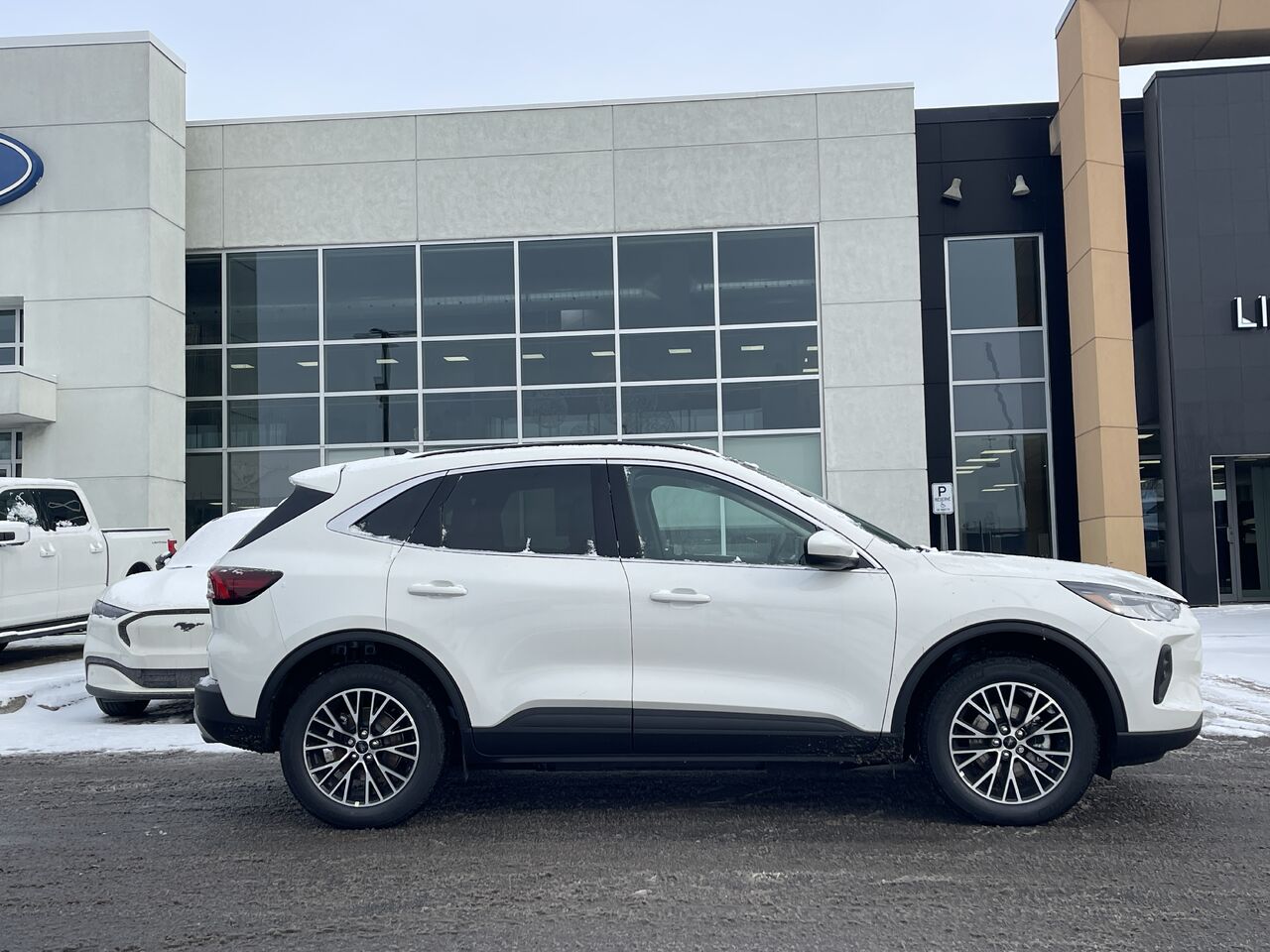 Ford Escape 2026 2026 Blanc astral m&eacute;tallis&eacute; trois couches