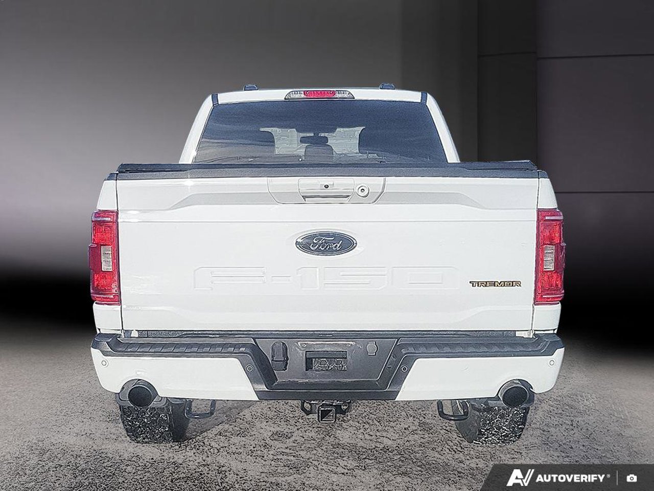 2023 Ford F-150 2023 White