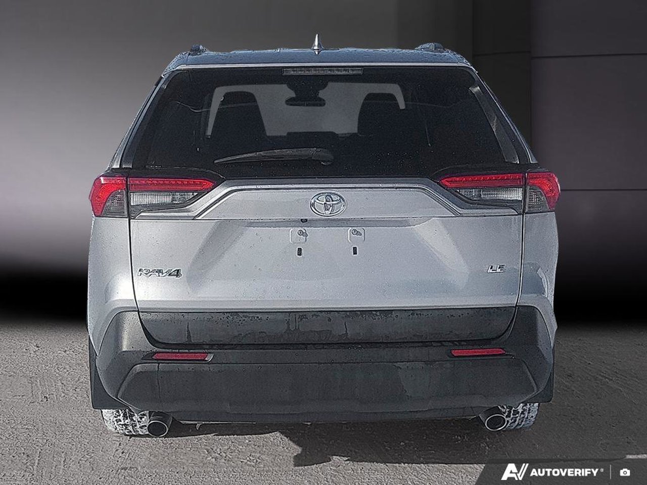 2019 Toyota RAV4 2019 Grey