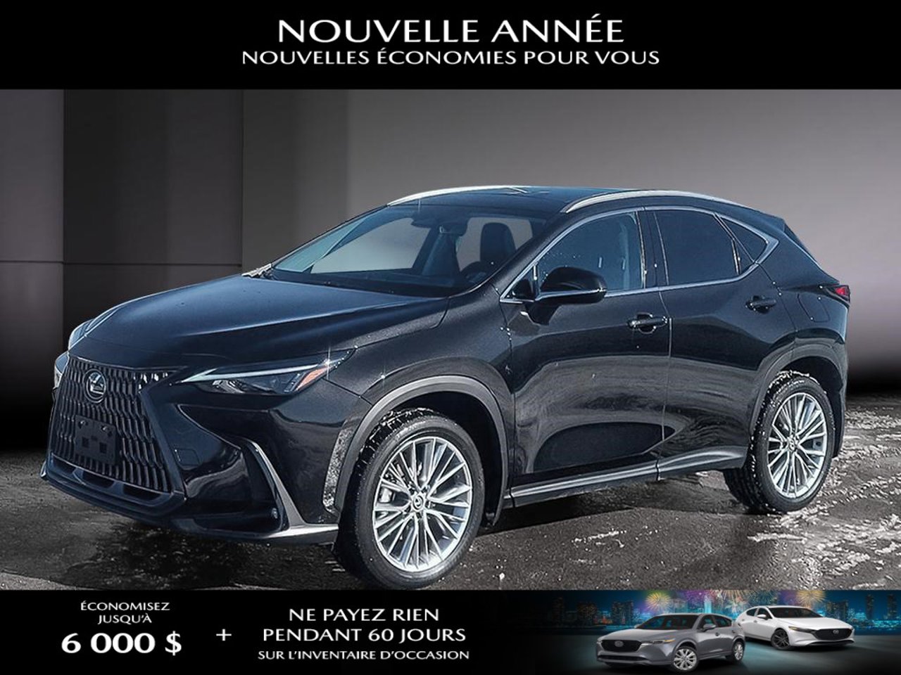 2024 Lexus NX 2024 Caviar