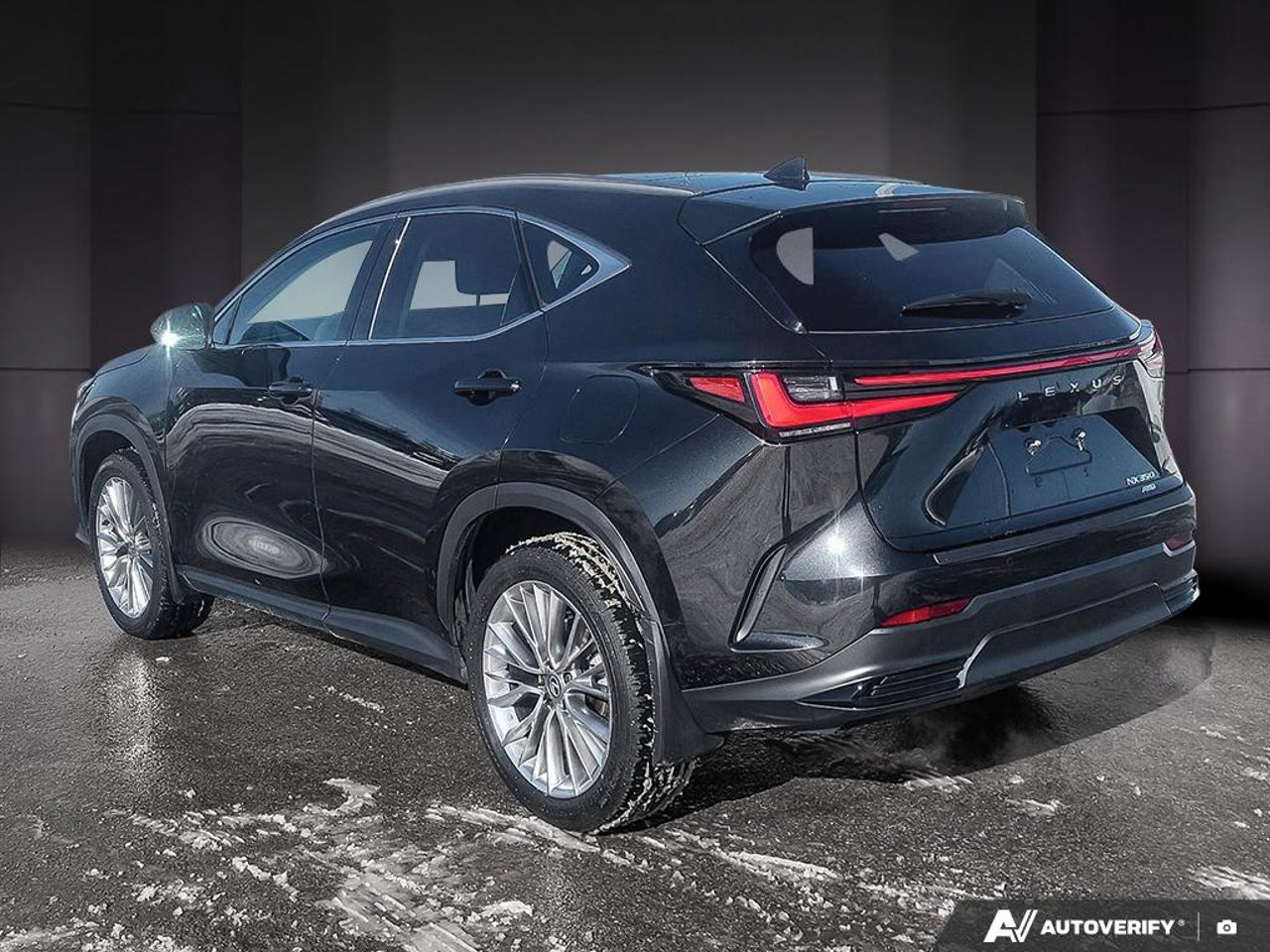 2024 Lexus NX 2024 Caviar