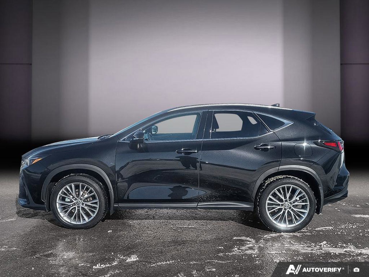 2024 Lexus NX 2024 Caviar