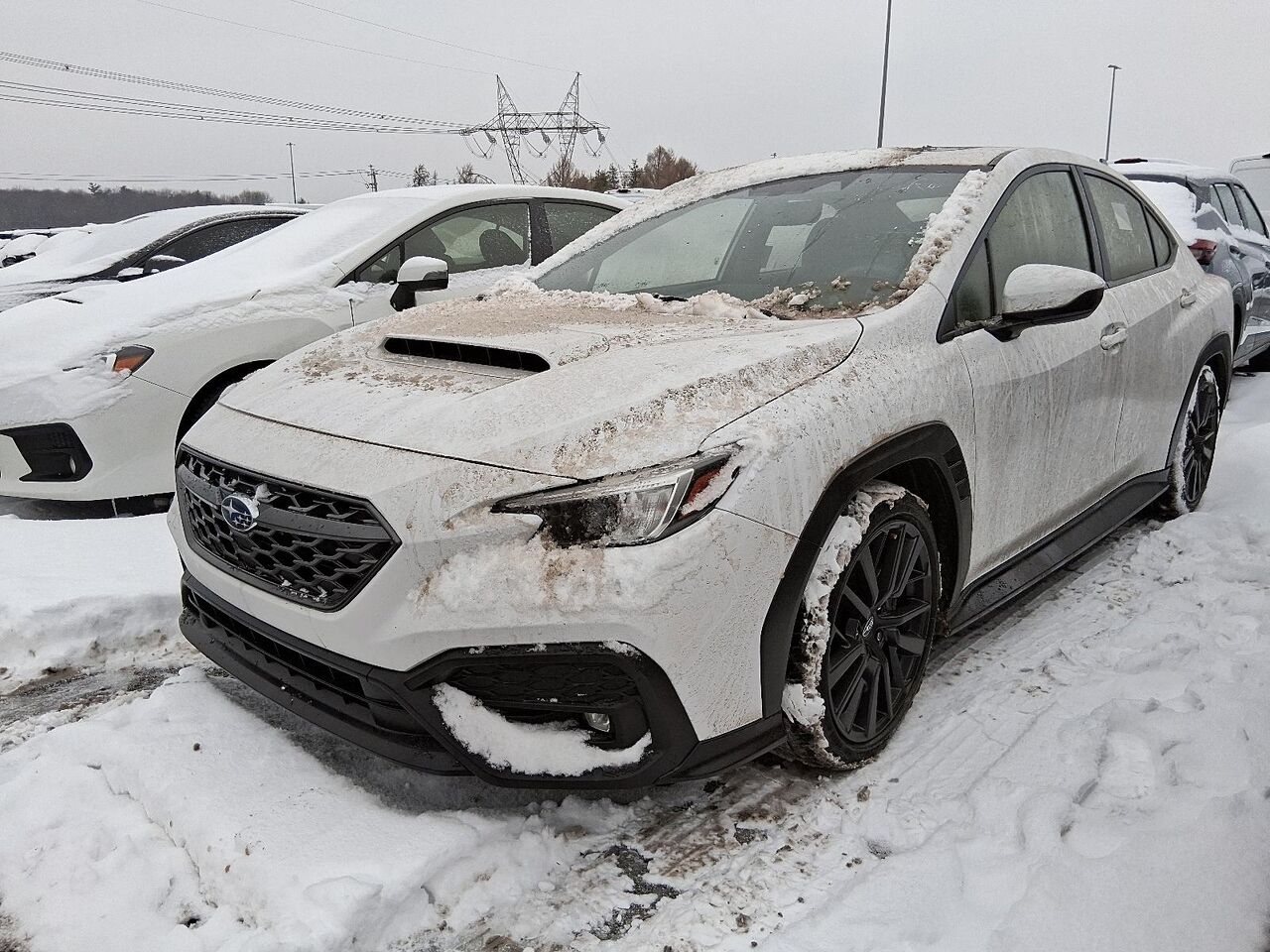 Subaru WRX 2023 Blanc Qu&eacute;bec - photo #0