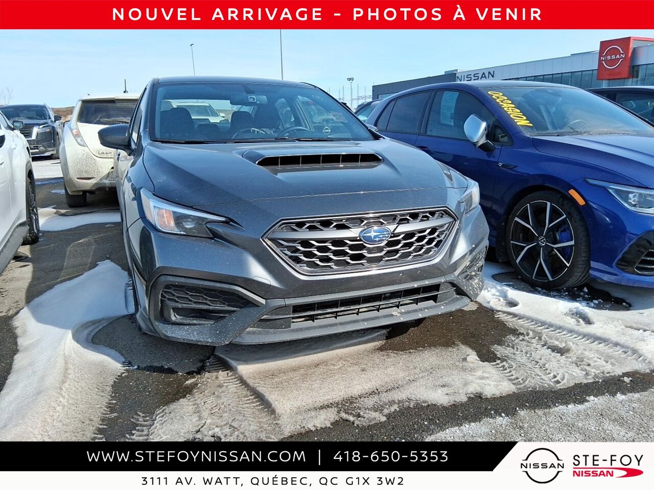 2023 Subaru WRX Grey Ste-Foy - photo #0